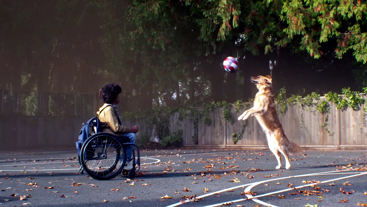 Air Bud Returns Movie