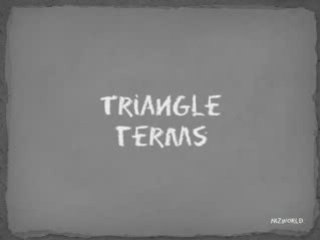 Math Terms of Triangle