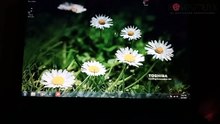 CARA TERBARU MEMBUAT SHORTCUT WEBSITE AGAR AKSES LEBIH CEPAT