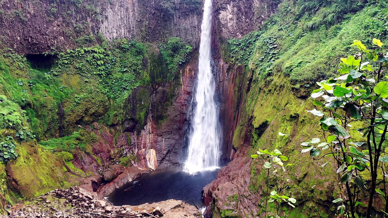 Rainforest 4K - The World’s Amazing Tropical Rainforest  Jungle Sounds  Scenic Relaxation Film_
