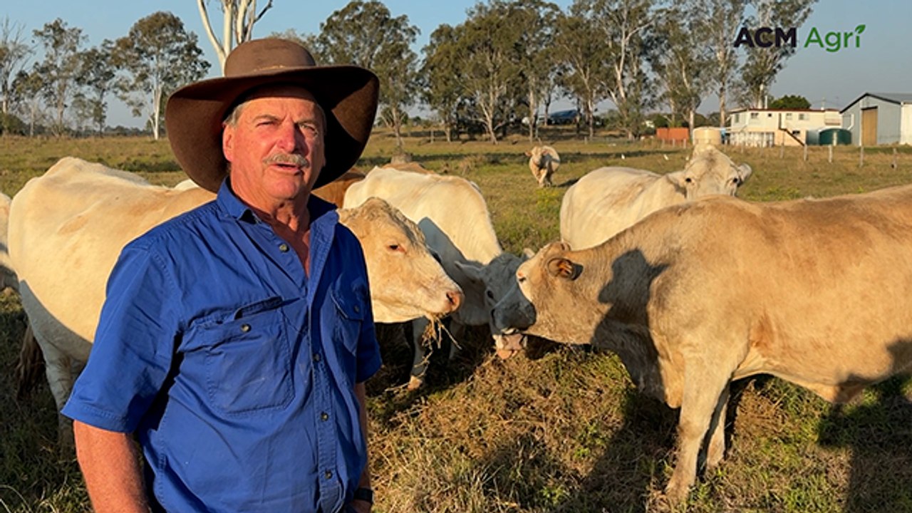 How this Beaudesert producer drives efficiency in the weaner market