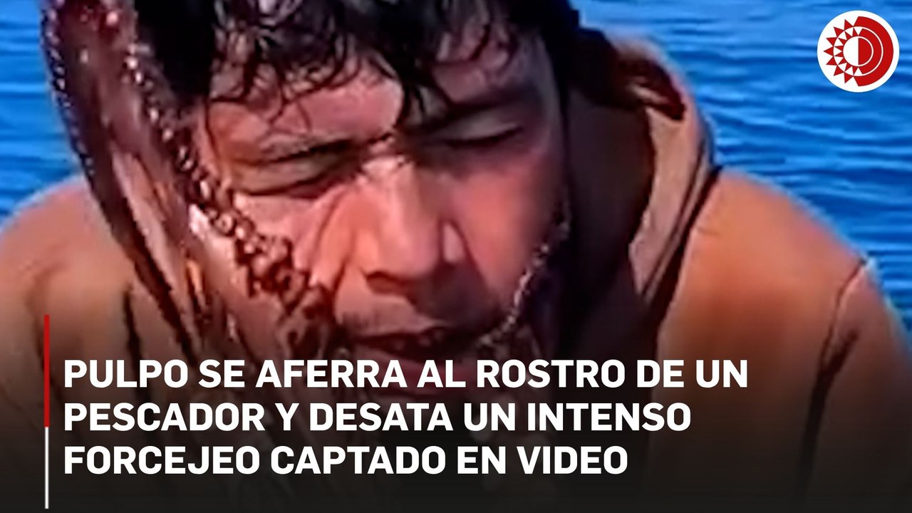 Pulpo se aferra al rostro de un pescador en Filipinas