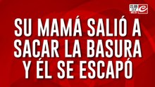 ¿Dónde está Axel?: su mamá salió a sacr la basura y él se escapó