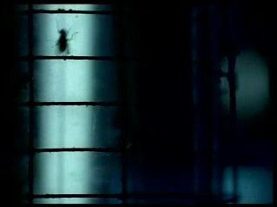 mew  - am I wry_no