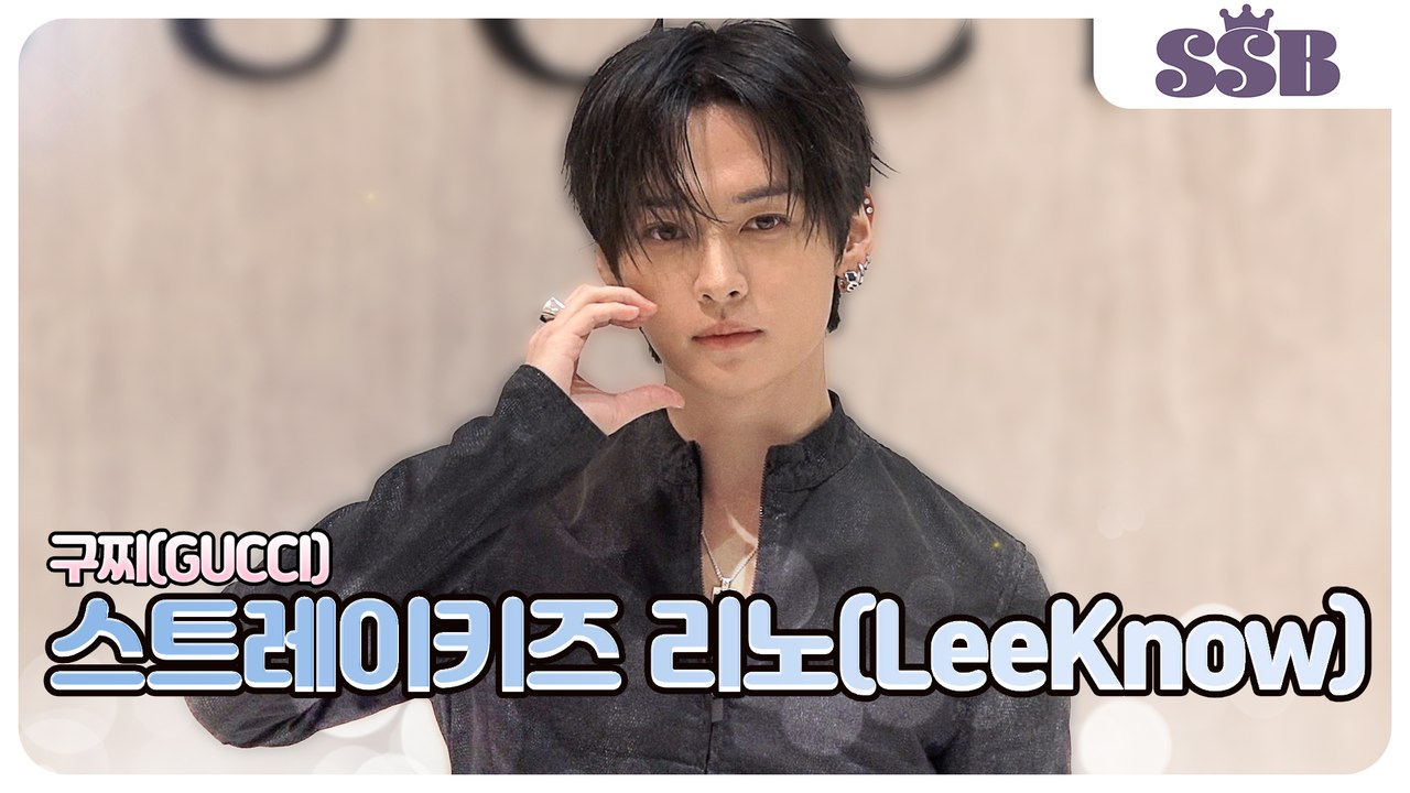 스트레이키즈 리노, '왕자님 비주얼' 리노 포토월 직캠(구찌 포토월) [TOP영상]