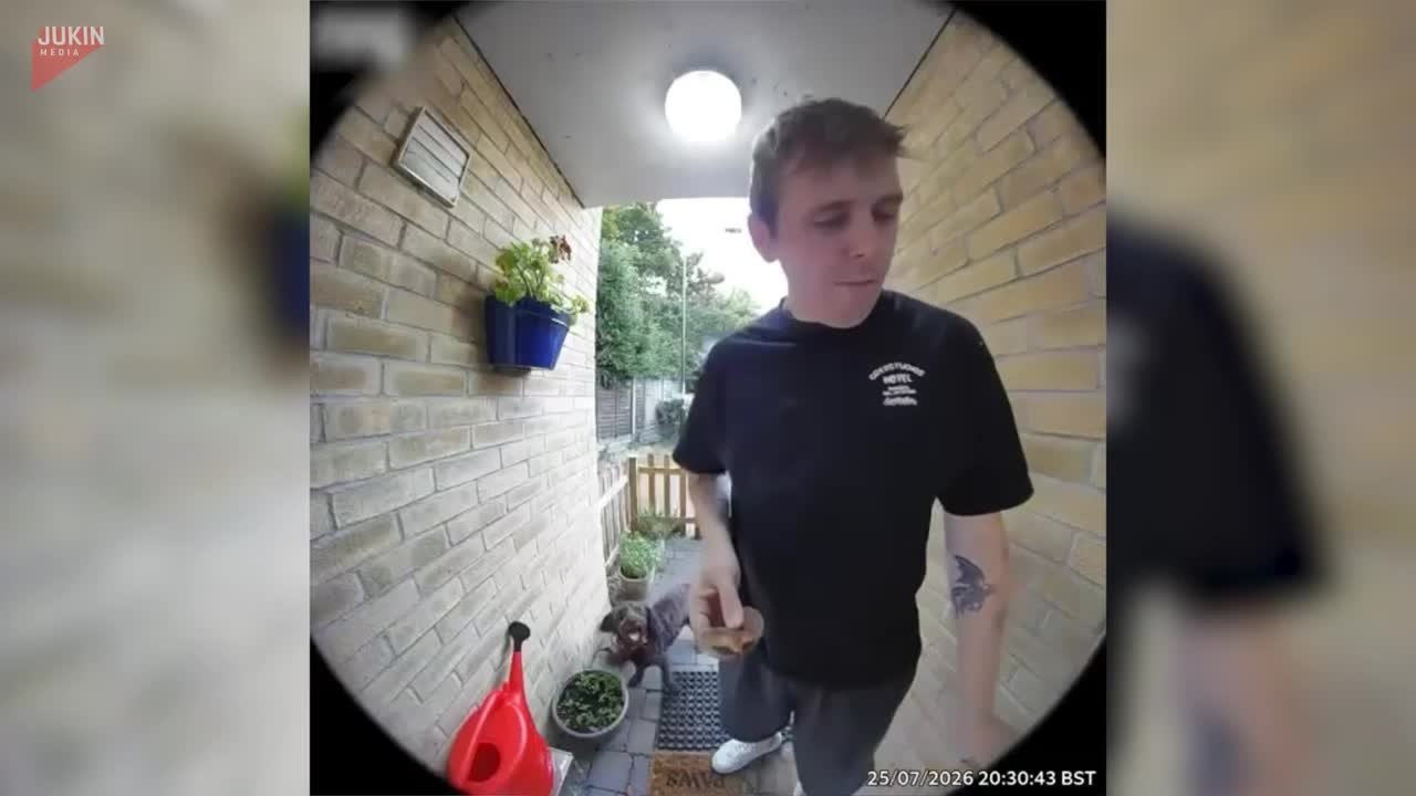 Dog Pushes Man Into Door