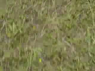 Belle chute de Morgane