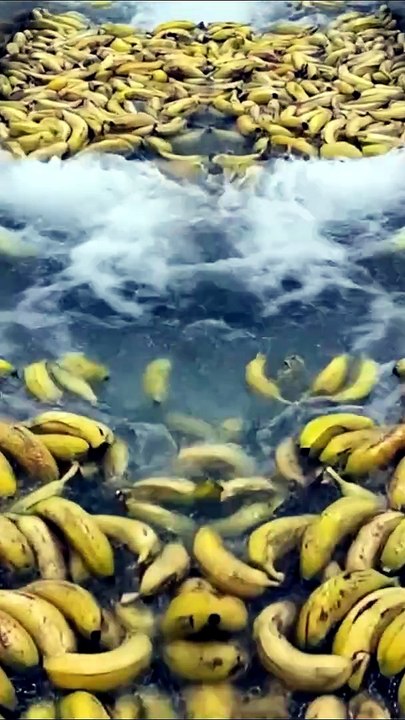 How Banana Loaf Is Made in Factory – Satisfying Food Process
