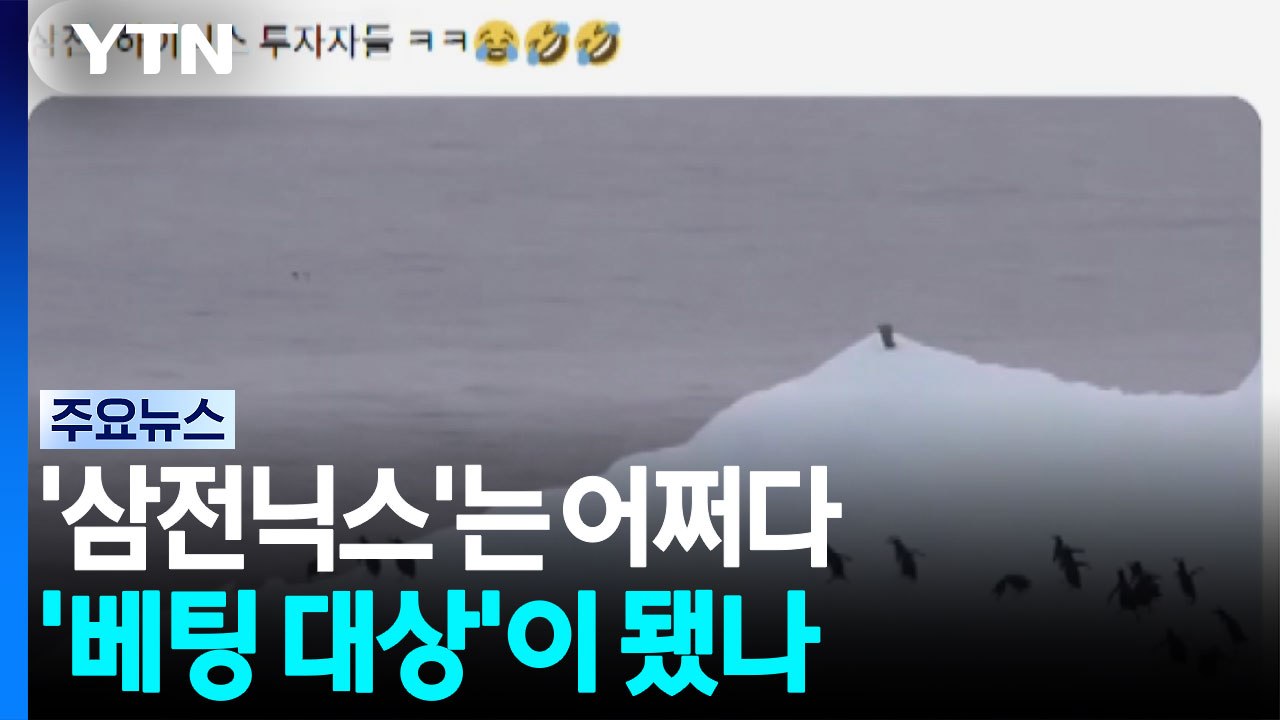 '삼전닉스'는 어쩌다 '베팅 대상'이 됐나 / YTN