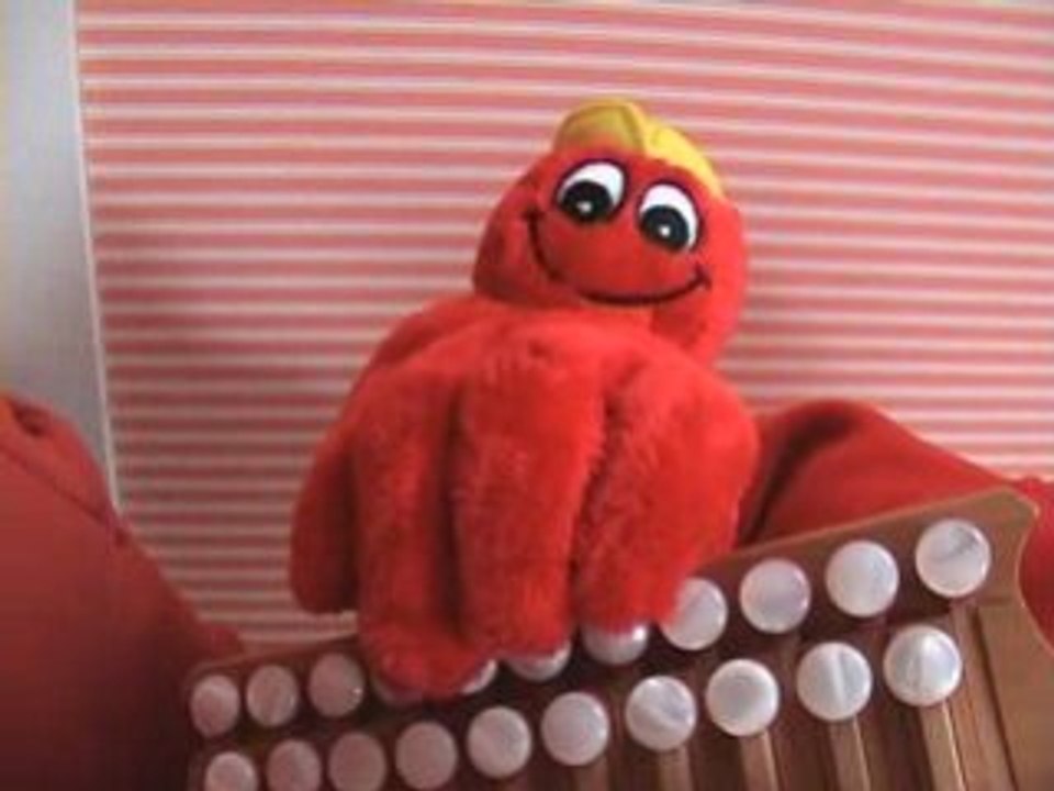 Mygale Accordéoniste