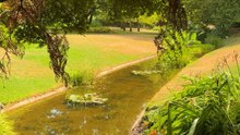 🎬 LE CRADLE DU CINÉMA FRANÇAIS S'EST CACHÉ DANS UN SIMPLE SQUARE ! 📽️🌳