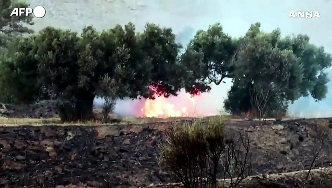 Incendi sull'isola greca di Creta, i roghi alimentati dal vento