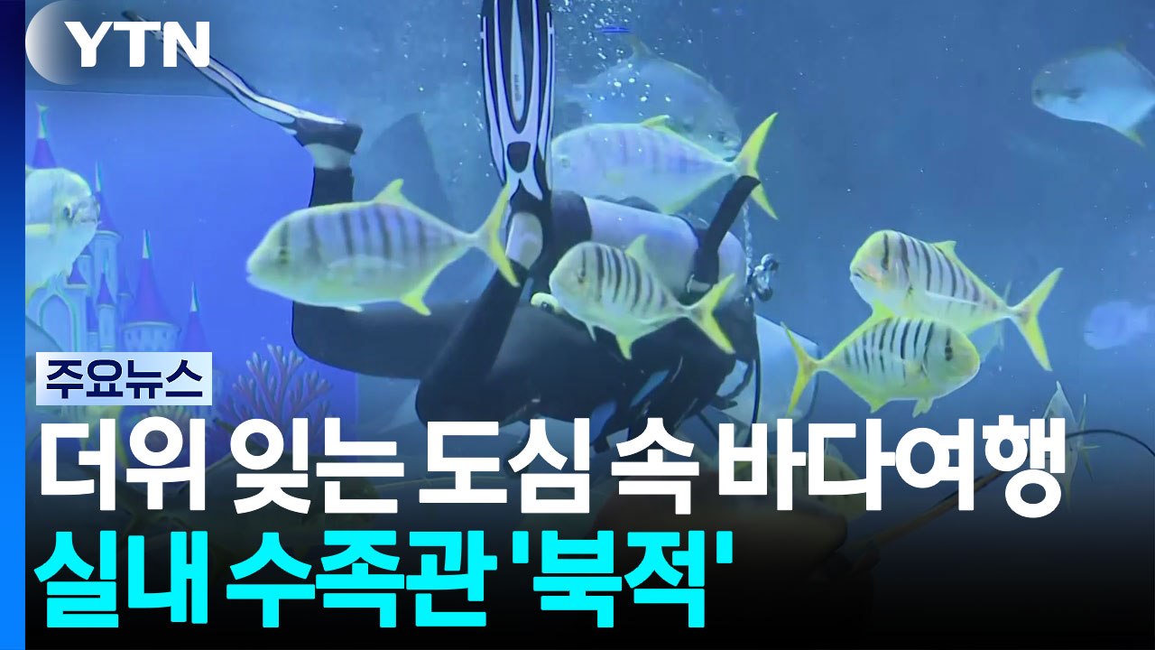 더위 잊는 도심 속 바다여행!...실내 수족관 '북적' / YTN