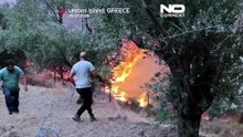 Πυρκαγιά στην Κρήτη σκοτώνει δύο πυροσβέστες καθώς οι φλόγες εξαπλώνονται στην Ελλάδα