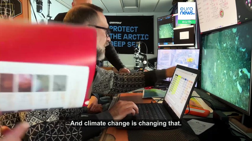 Arctic seabed mission documents fragile marine life threatened by Norway's deep-sea mining plans