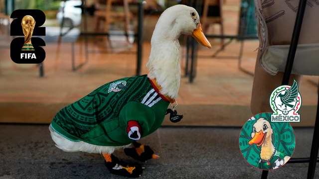 Pato Merlín ya es la cara de las playeras de la Selección Mexicana y así luce la mascota