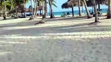 PLAYA CADAQUES DOMINICUS,BAYAHIBE,PROVINCIA LA ALTAGRACIA,REGION ESTE REPUBLICA DOMINICANA.