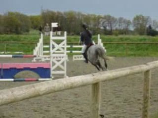 Nerva Theix 2008 E2 Ponam