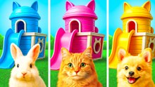 Pet Comfort Makeover Secrets Unveiled: Hacks & DIY Upgrades