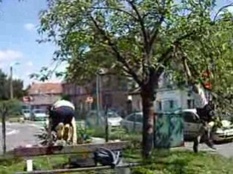 Tegno qui se tole