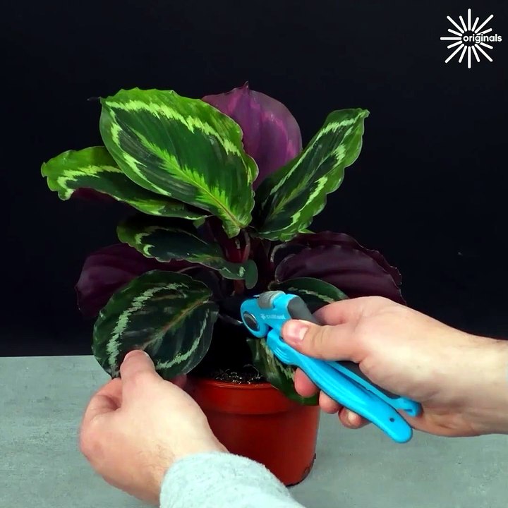 Easy home hacks you can make yourself!