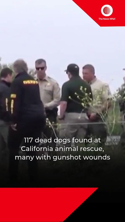 117 dead dogs found at California animal rescue