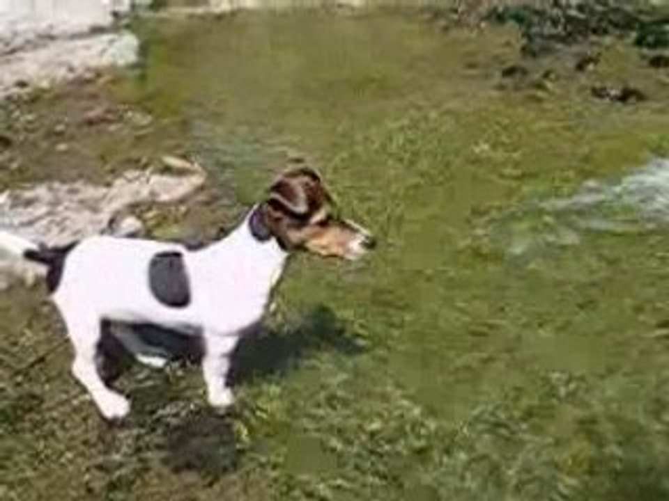 Daïa à la rivière! IV