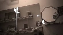 Funny videos 📸