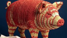 Pig