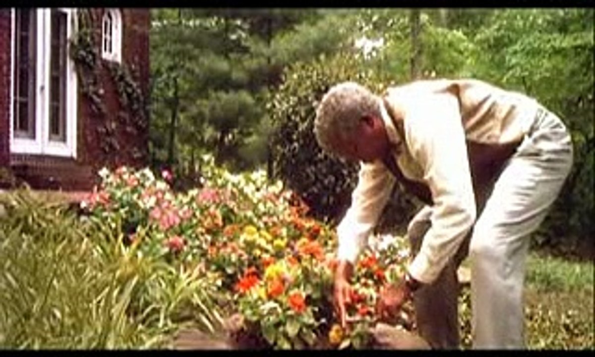 Miss Daisy et son chauffeur (1989) Trailer [Full Movie]
