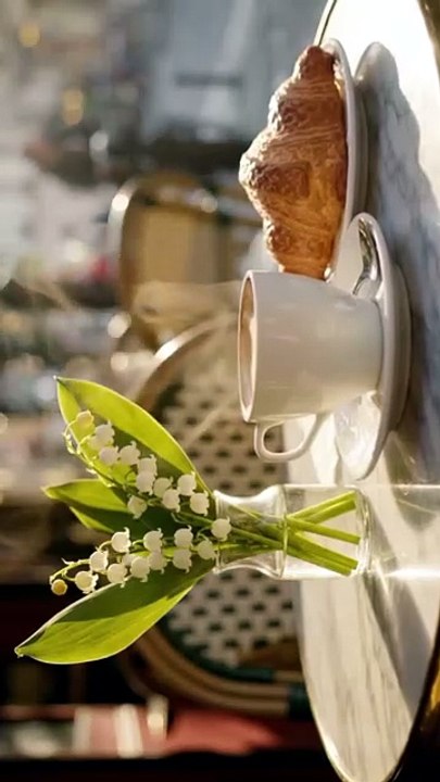 💐 Vendredi 1er Mai 2026. N'oubliez pas d'offrir du Muguet ! 🚶‍♂️ Allez-vous faire une Marche .mp4