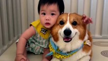 My puppy pal and I are the absolute best of friends! ||| My puppy pal and I are the absolute best of friends!