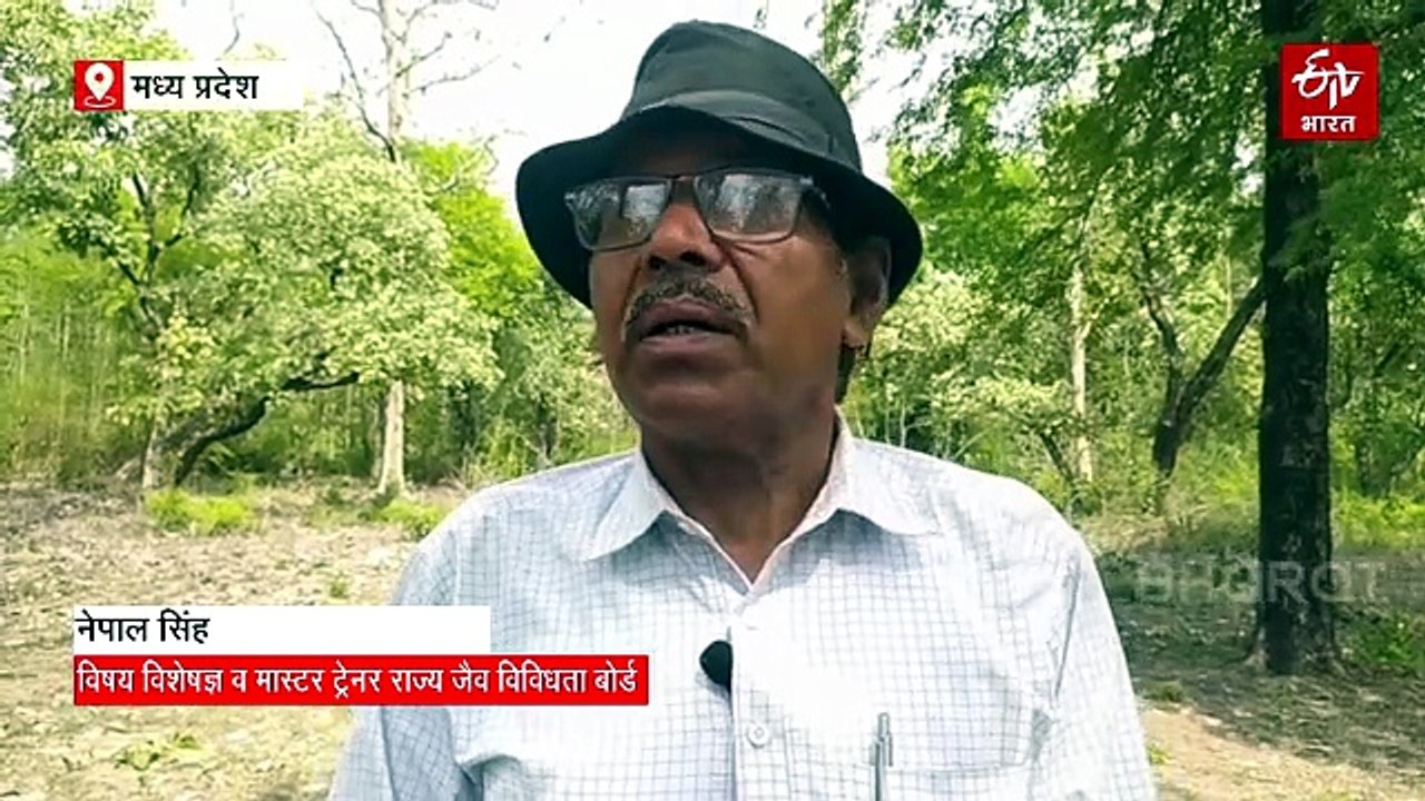 रीवा का महिषासुर कुंड, जिसमें दफन हैं शैतानी शक्तियां, आस्था या अंधविश्वास? जानें कुंड के खौफनाक रहस्य