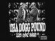 Tha dogg pound feat nate dog and snoop dogg .. new bomb 2008
