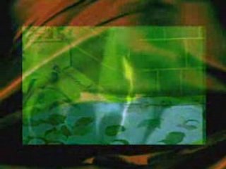 Seher Çakır - Kırk Yaşındasın