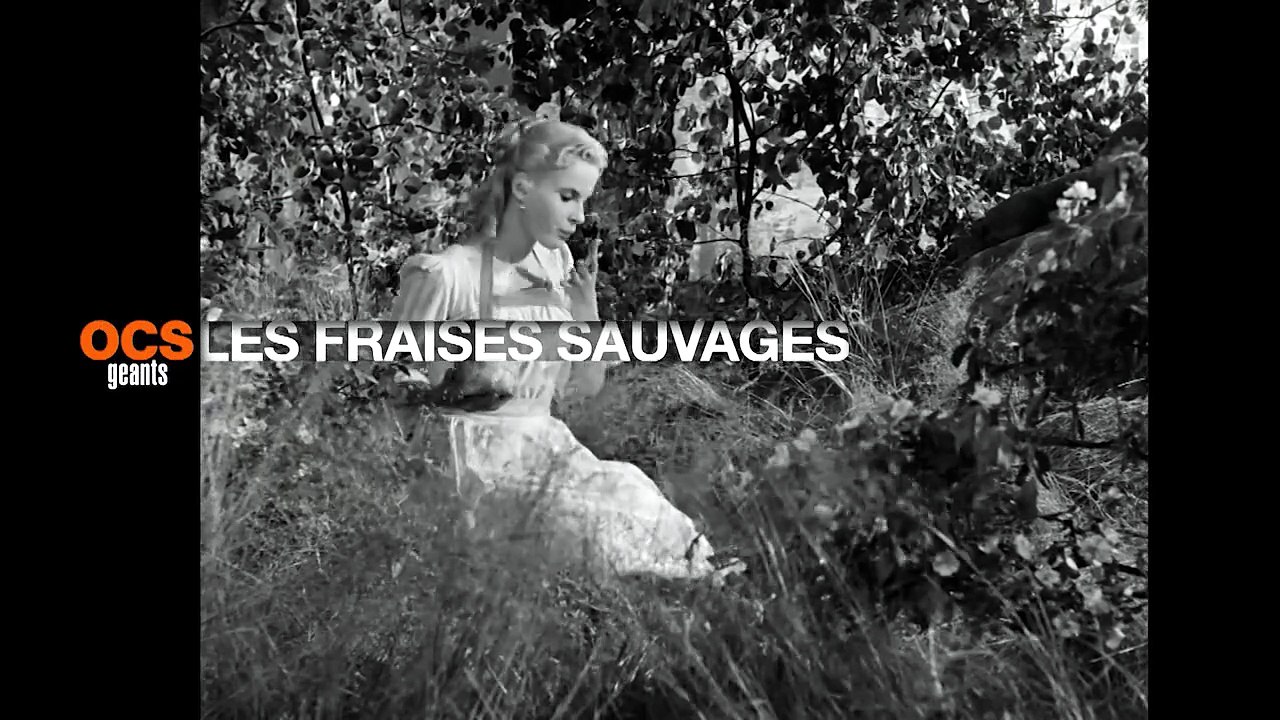 Les fraises sauvages