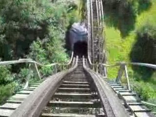 TONERRE DE ZEUS 1er ligne