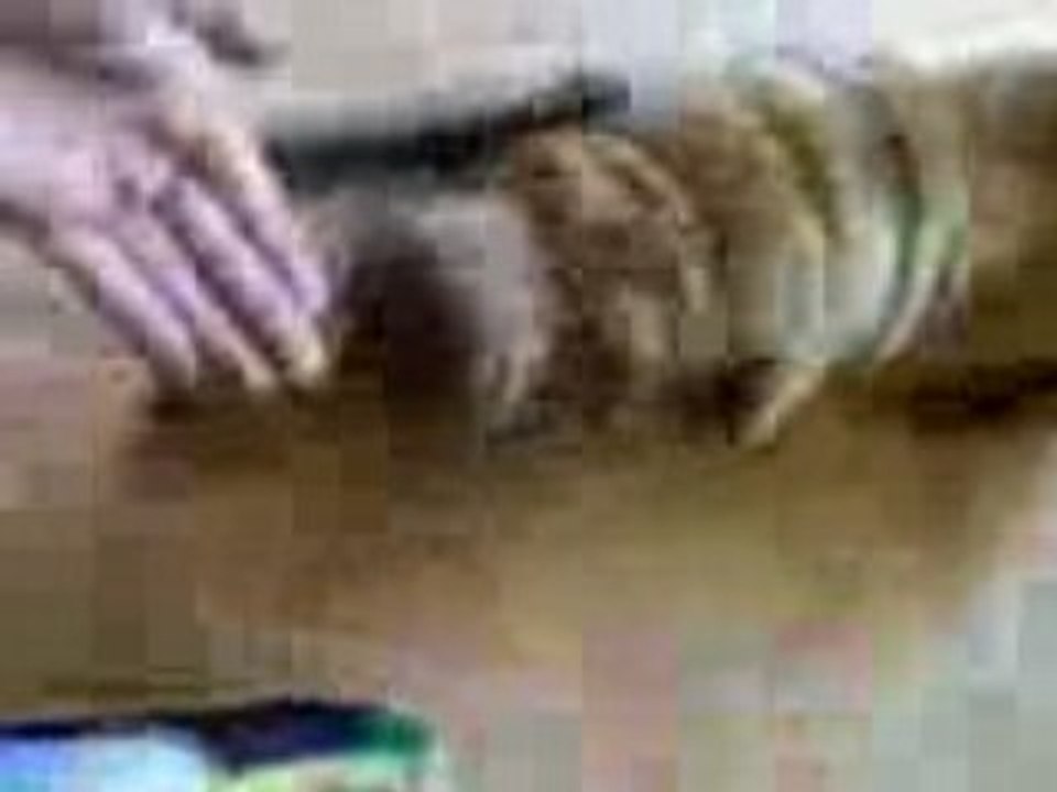 Vidéo(01)
