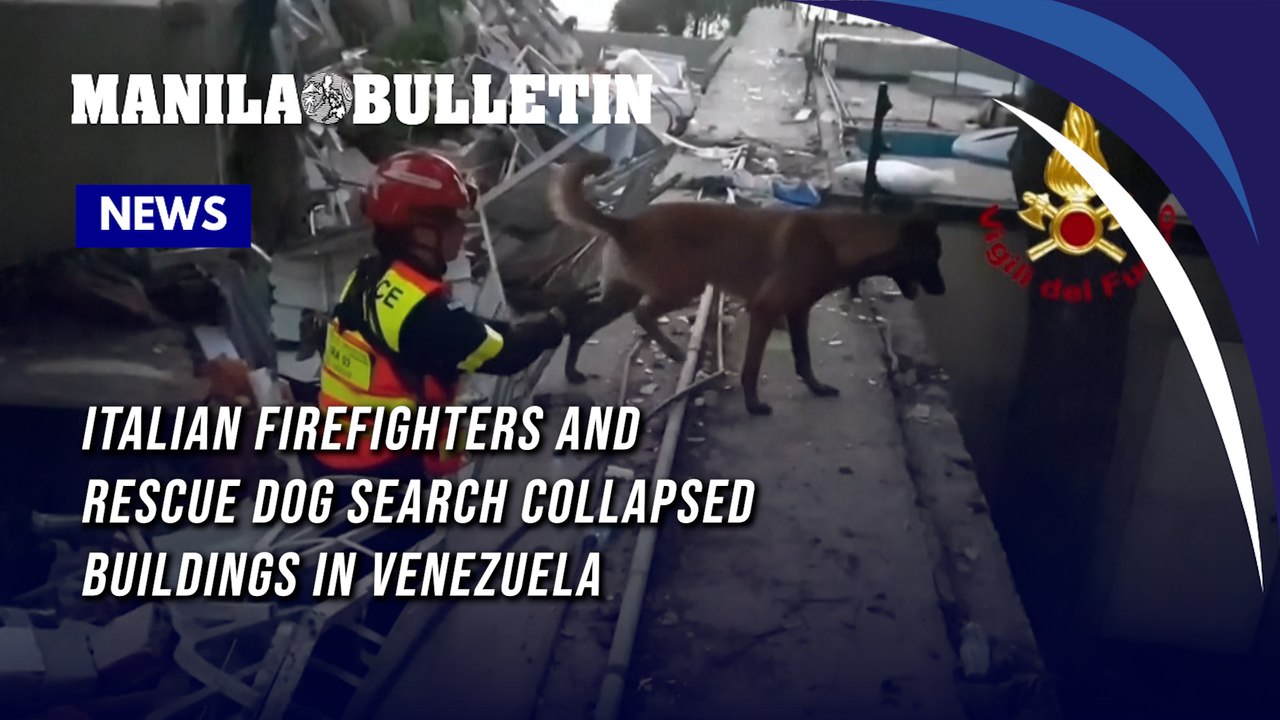 Italian firefighters and rescue dog search collapsed buildings in Venezuela