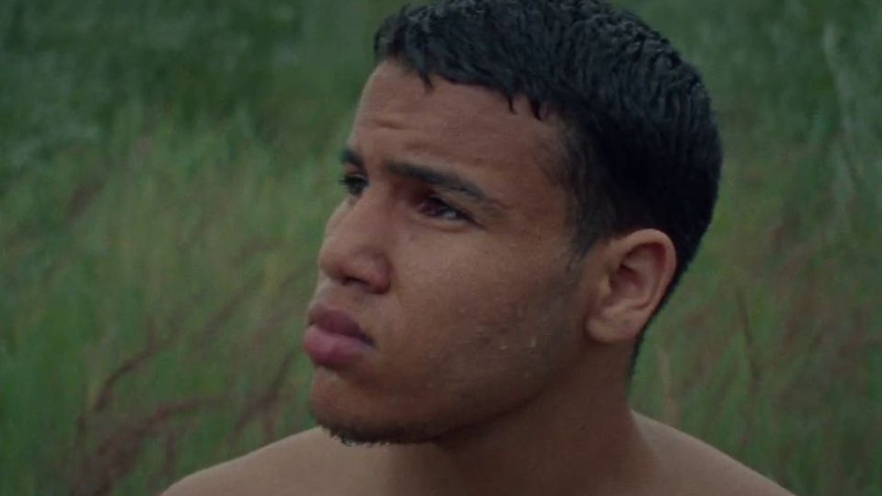 The Lights, They Fall Trailer DF