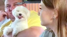 Funny Puppy Gets All the Love! 🐶😂 Cute & Hilarious Moment