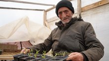Bayburtlu çiftçi 'memleket meselesi' gördüğü ata tohumlarını gelecek kuşaklar için çoğaltıyor
