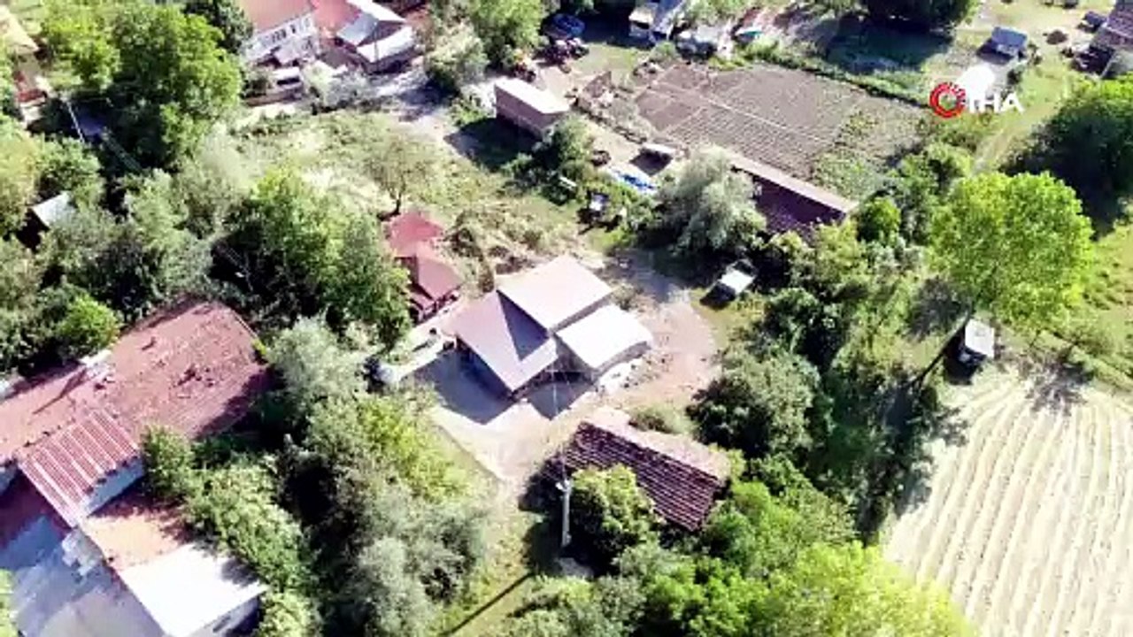 Siyezin, anavatanı Kastamonu’da ekim sahası genişliyor