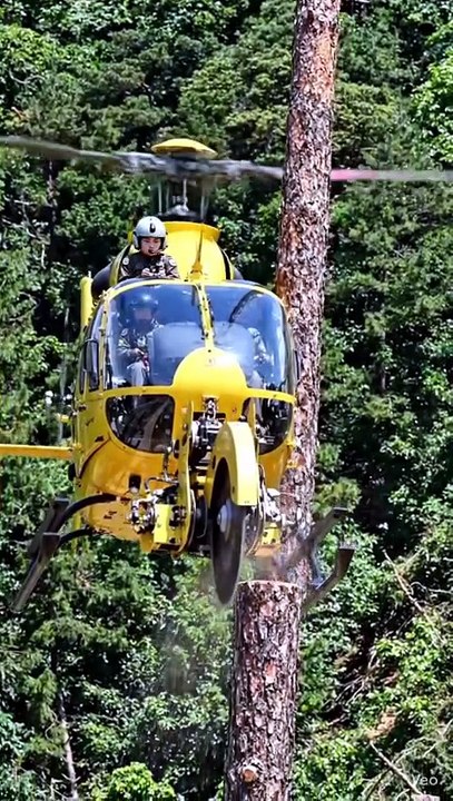 New invention helicopter cum cutter