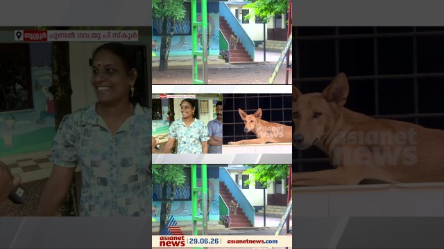 തെരുവ് നായ ശല്യം രൂക്ഷം,തൃശൂർ ചൂണ്ടൽ സ്കൂളിന് അവധി