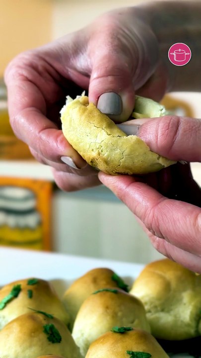 بالفيديو، خلية النحل المالحة القطنية