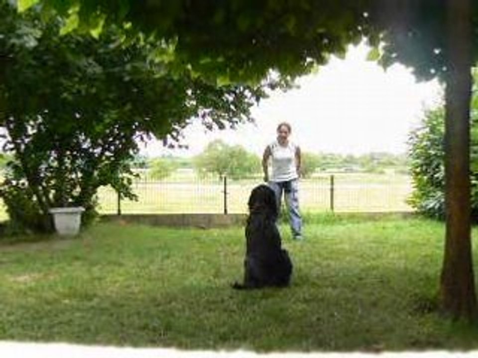 Alto obr jardin2