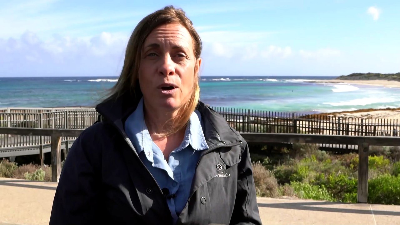 Another suspected H5 bird flu case detected in WA