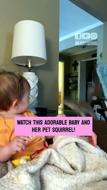 Sweet toddler struggles to catch her playful squirrel