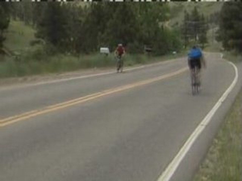 Bici contro orso